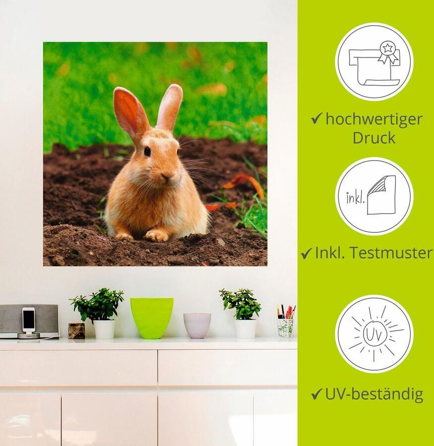 Artland Artprint Gelukkig dwergkonijntje als artprint op linnen muursticker in verschillende maten - Foto 2