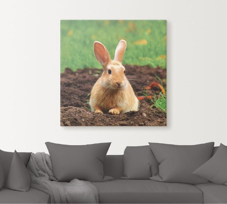 Artland Artprint Gelukkig dwergkonijntje als artprint op linnen muursticker in verschillende maten - Foto 4