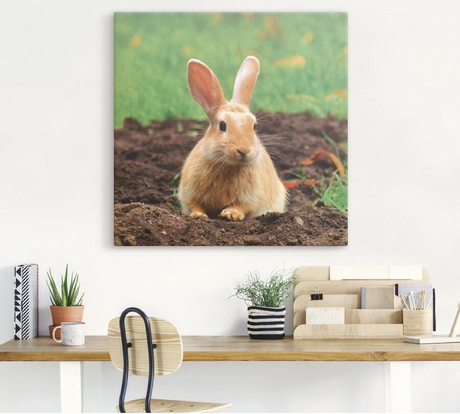 Artland Artprint Gelukkig dwergkonijntje als artprint op linnen muursticker in verschillende maten - Foto 3