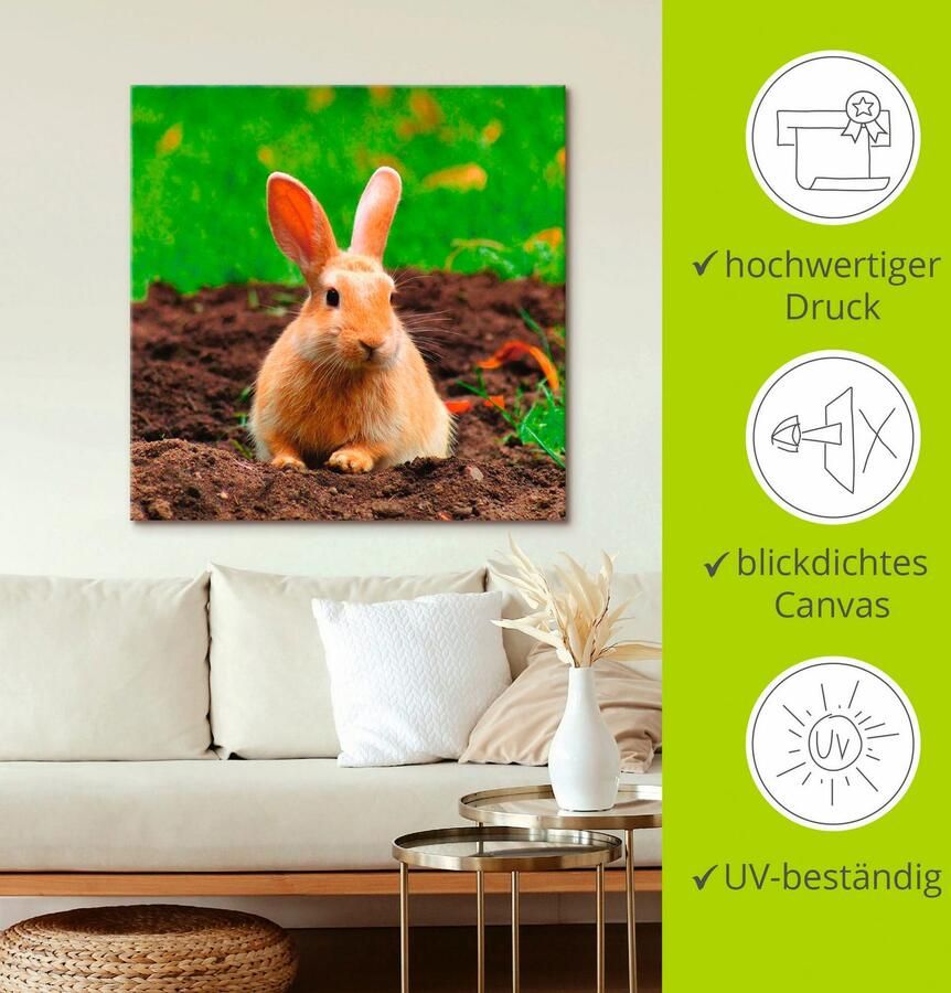 Artland Artprint Gelukkig dwergkonijntje als artprint op linnen muursticker in verschillende maten - Foto 2