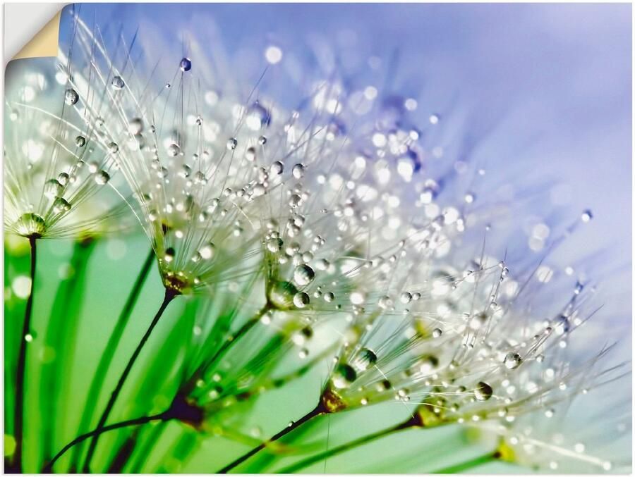 Artland Artprint Glinsterende pluizenbol III als artprint op linnen poster muursticker in verschillende maten - Foto 4