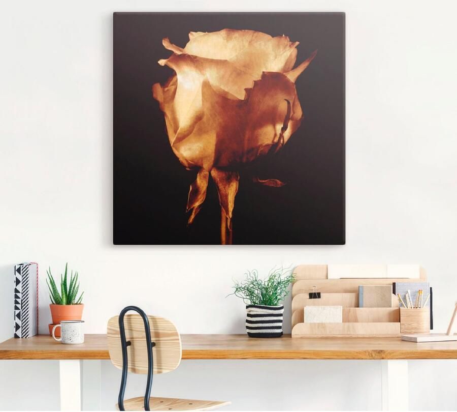 Artland Artprint Goudkleurige roos als artprint op linnen poster in verschillende formaten maten - Foto 2