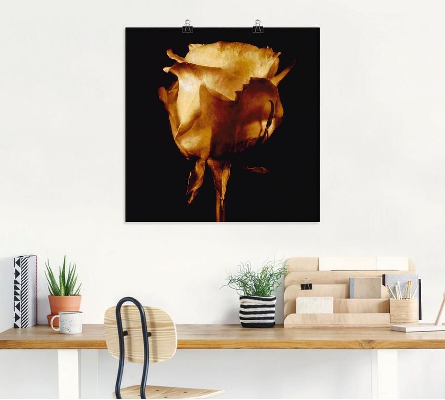 Artland Artprint Goudkleurige roos als artprint op linnen poster in verschillende formaten maten - Foto 4