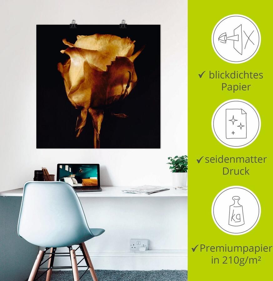 Artland Artprint Goudkleurige roos als artprint op linnen poster in verschillende formaten maten - Foto 2