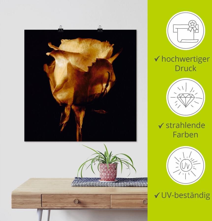 Artland Artprint Goudkleurige roos als artprint op linnen poster in verschillende formaten maten - Foto 3