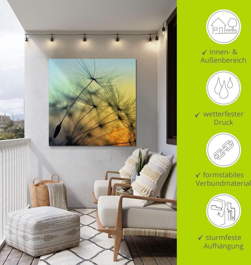 Artland Artprint Goudkleurige zonsondergang en paardenbloemen als artprint van aluminium artprint voor buiten artprint op linnen poster muursticker - Foto 4
