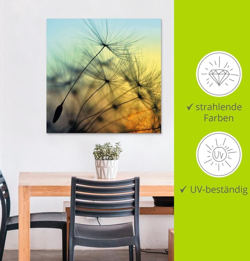 Artland Artprint Goudkleurige zonsondergang en paardenbloemen als artprint van aluminium artprint voor buiten artprint op linnen poster muursticker - Foto 3