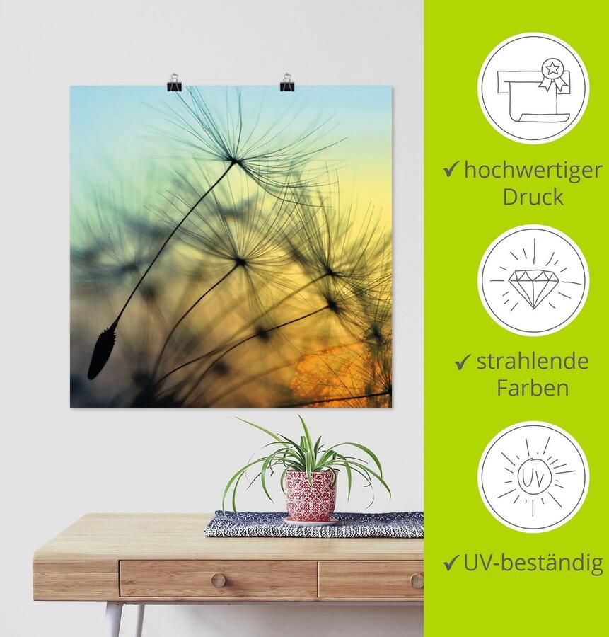Artland Artprint Goudkleurige zonsondergang en paardenbloemen als artprint van aluminium artprint voor buiten artprint op linnen poster muursticker - Foto 3