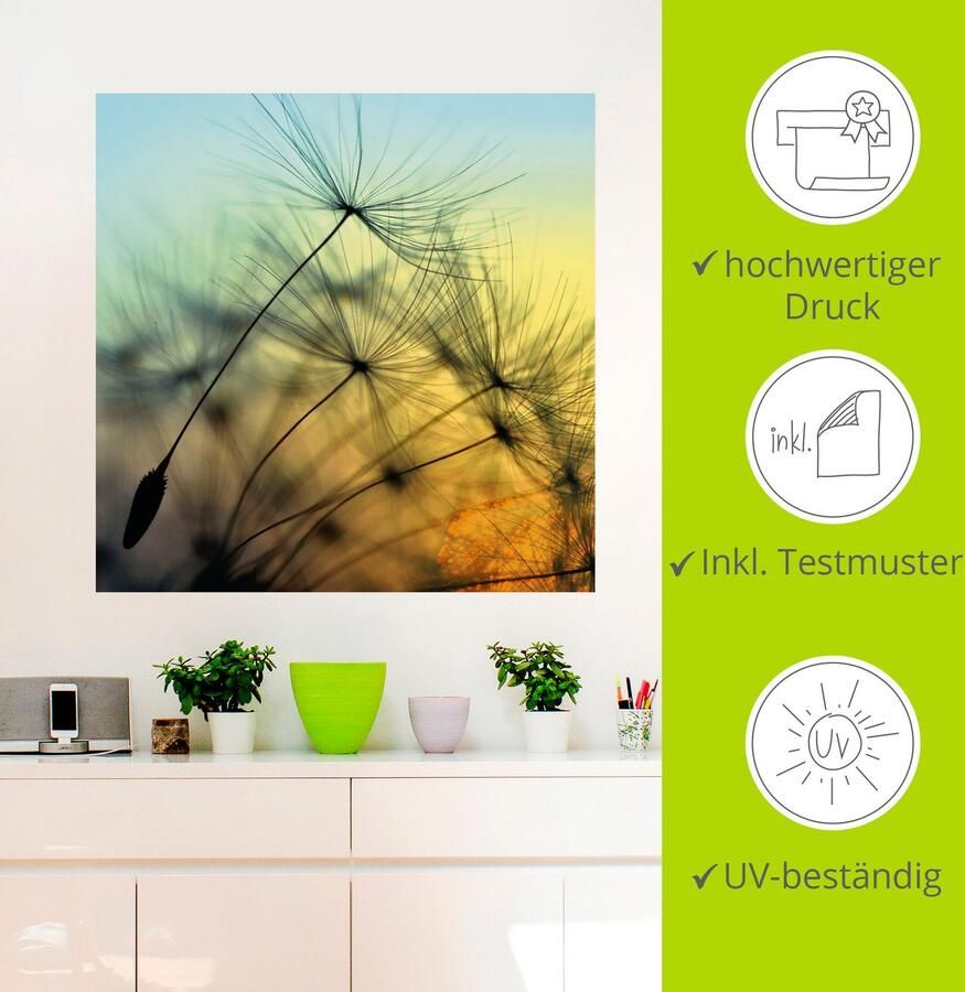 Artland Artprint Goudkleurige zonsondergang en paardenbloemen als artprint van aluminium artprint voor buiten artprint op linnen poster muursticker - Foto 3
