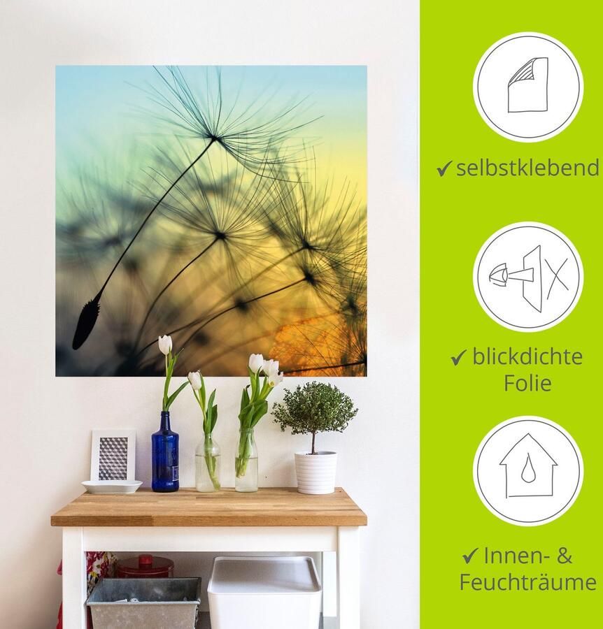 Artland Artprint Goudkleurige zonsondergang en paardenbloemen als artprint van aluminium artprint voor buiten artprint op linnen poster muursticker - Foto 4
