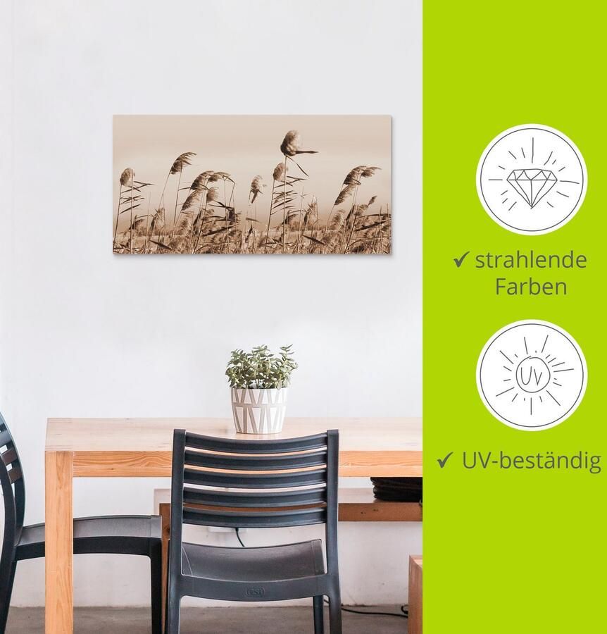 Artland Artprint Grassen als artprint van aluminium artprint voor buiten artprint op linnen poster muursticker - Foto 3