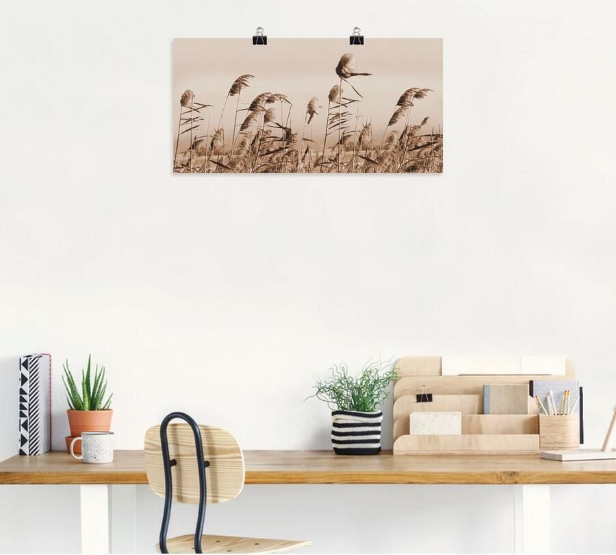 Artland Artprint Grassen als artprint van aluminium artprint voor buiten artprint op linnen poster muursticker - Foto 4