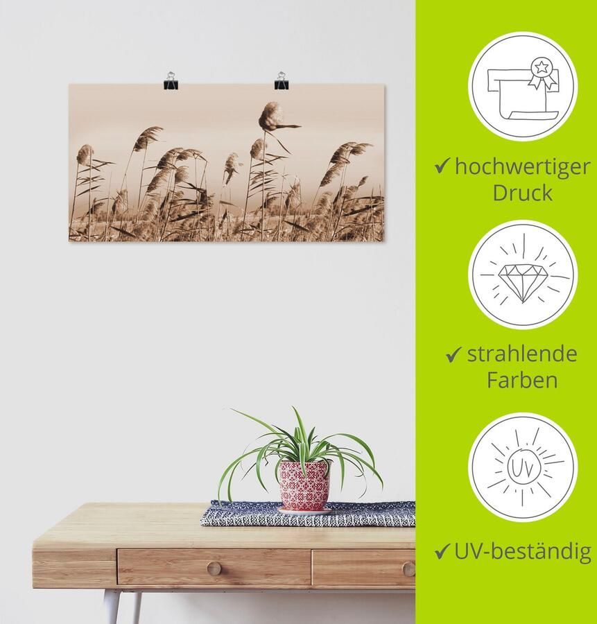 Artland Artprint Grassen als artprint van aluminium artprint voor buiten artprint op linnen poster muursticker - Foto 3