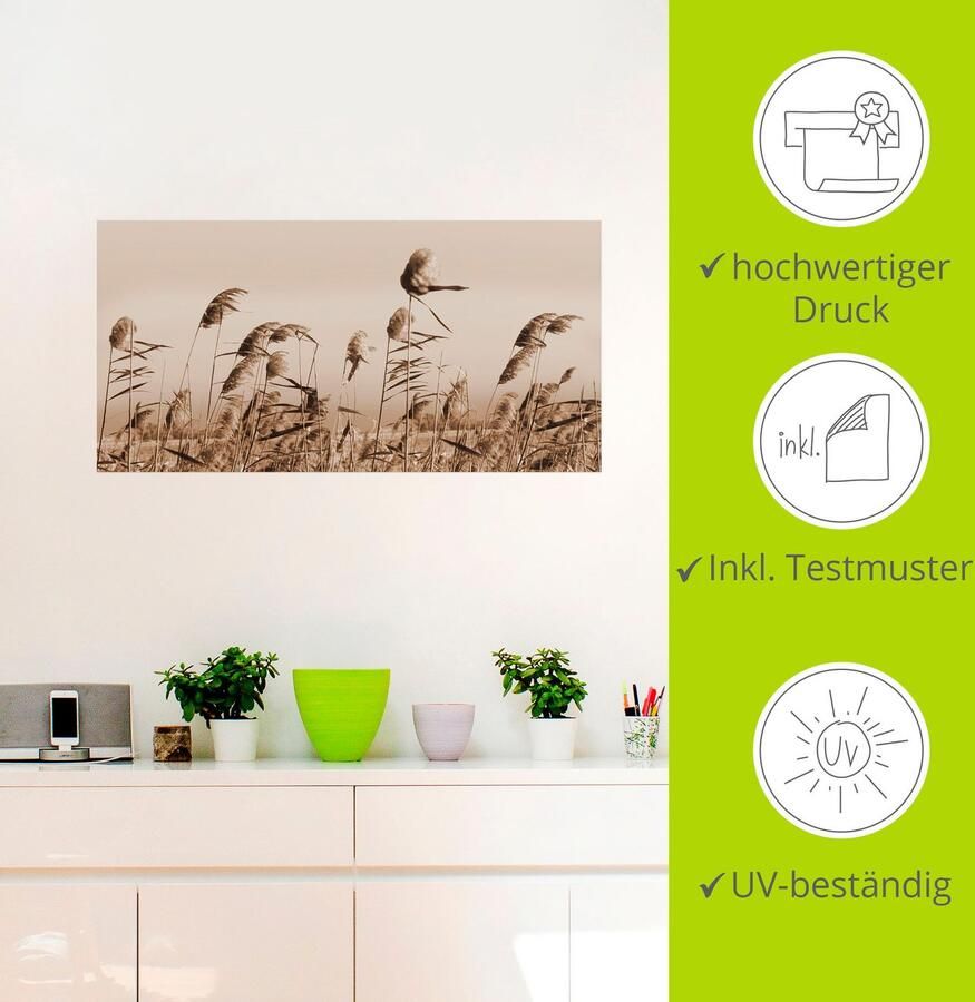 Artland Artprint Grassen als artprint van aluminium artprint voor buiten artprint op linnen poster muursticker - Foto 3
