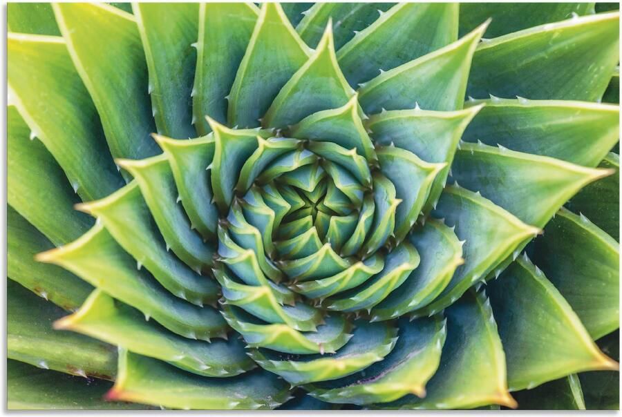 Artland Artprint Groene spiraal als artprint van aluminium artprint op linnen muursticker of poster in verschillende maten - Foto 7