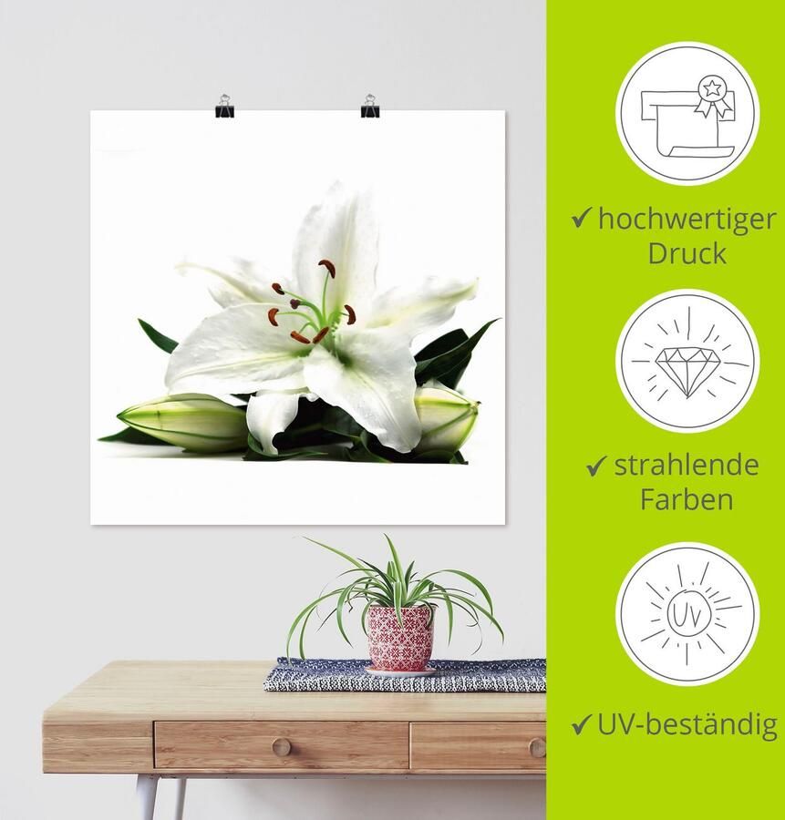 Artland Artprint Grote lelie als artprint op linnen poster in verschillende formaten maten - Foto 6