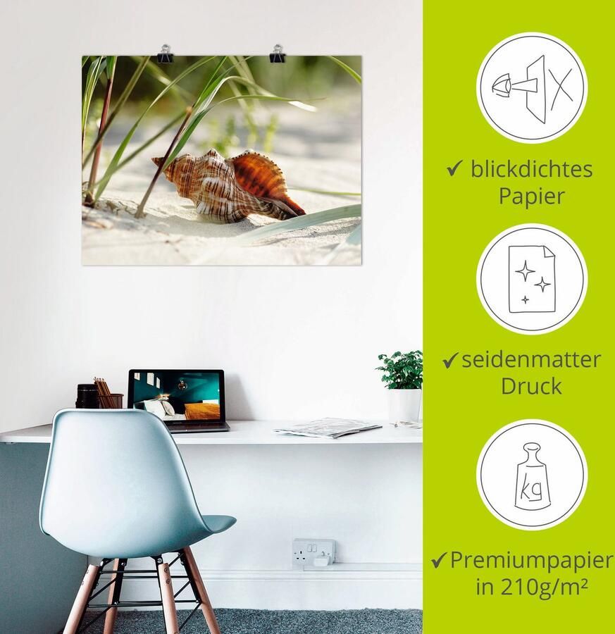 Artland Artprint Grote schelp op het strand als artprint op linnen poster muursticker in verschillende maten - Foto 2