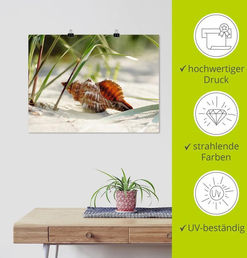 Artland Artprint Grote schelp op het strand als artprint op linnen poster muursticker in verschillende maten - Foto 3