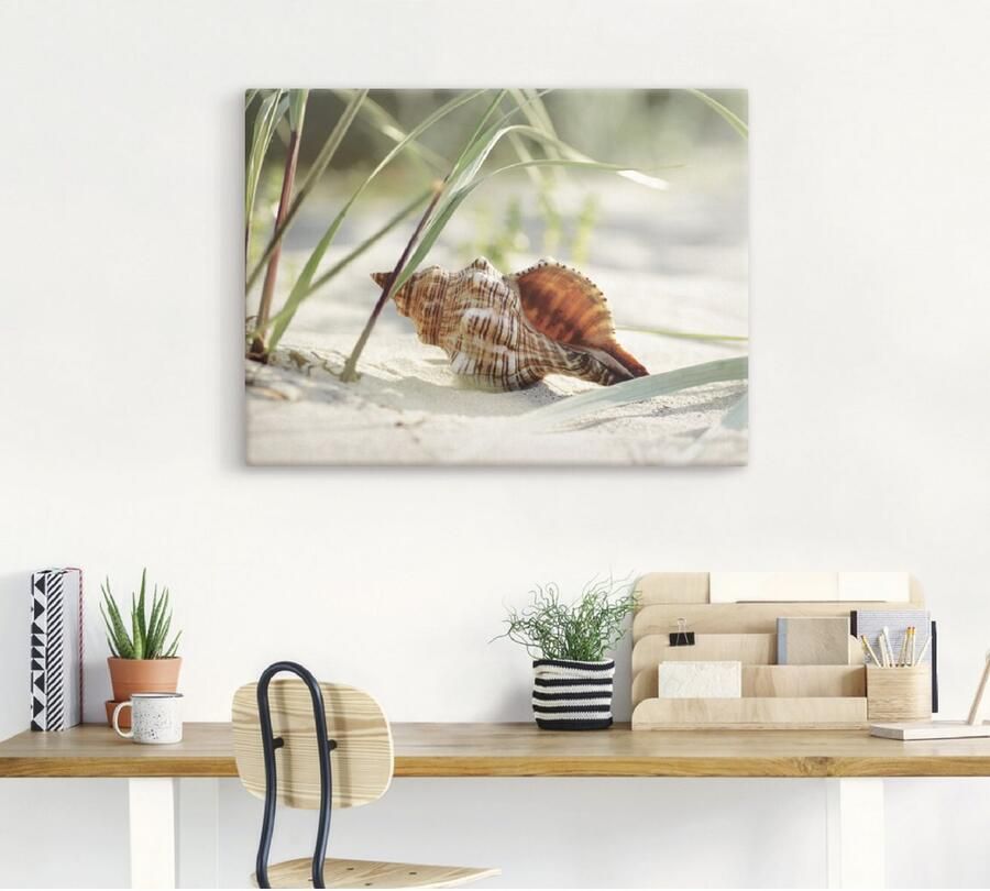 Artland Artprint Grote schelp op het strand als artprint op linnen poster muursticker in verschillende maten - Foto 6