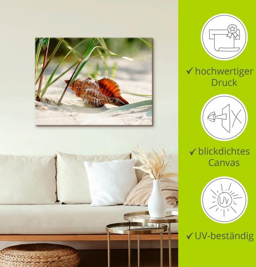 Artland Artprint Grote schelp op het strand als artprint op linnen poster muursticker in verschillende maten - Foto 2