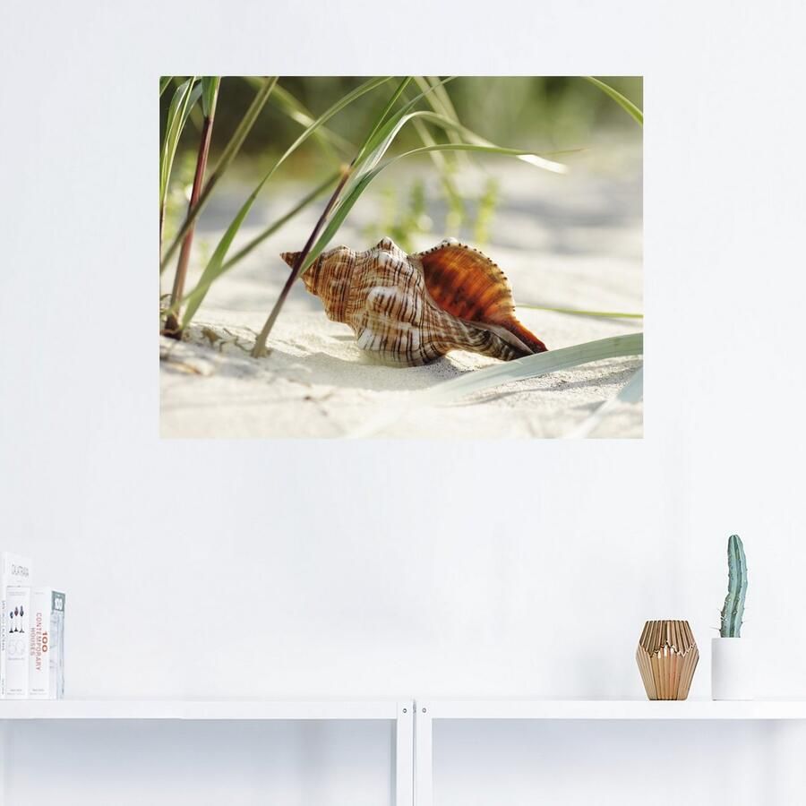 Artland Artprint Grote schelp op het strand als artprint op linnen poster muursticker in verschillende maten - Foto 2