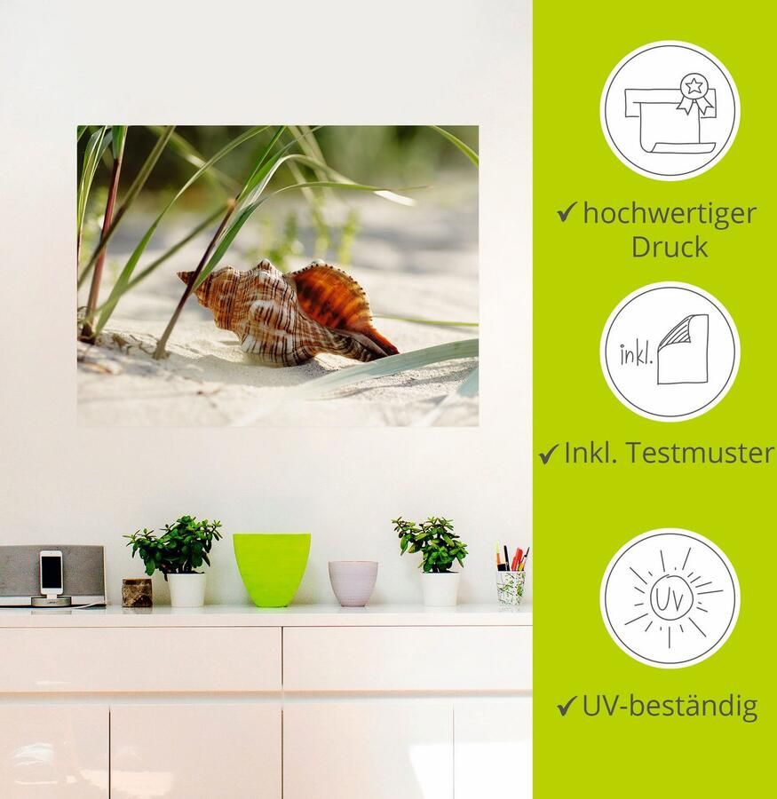 Artland Artprint Grote schelp op het strand als artprint op linnen poster muursticker in verschillende maten - Foto 3