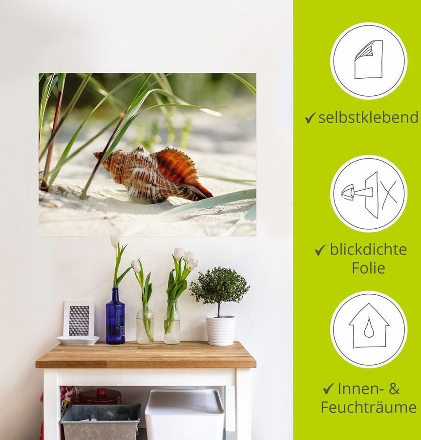 Artland Artprint Grote schelp op het strand als artprint op linnen poster muursticker in verschillende maten - Foto 4