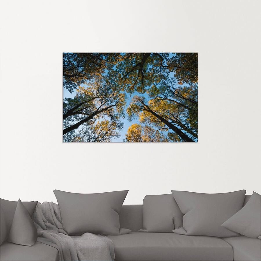 Artland Artprint Herfst in het bos als artprint van aluminium artprint voor buiten artprint op linnen in verschillende maten - Foto 2