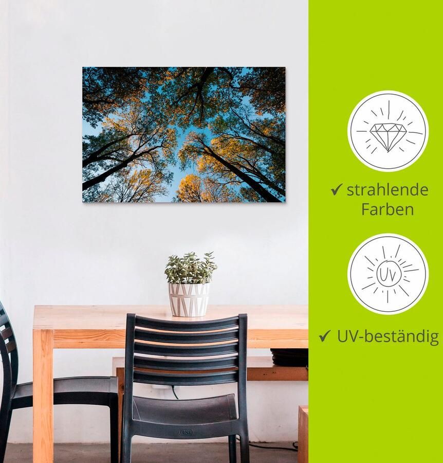 Artland Artprint Herfst in het bos als artprint van aluminium artprint voor buiten artprint op linnen in verschillende maten - Foto 3