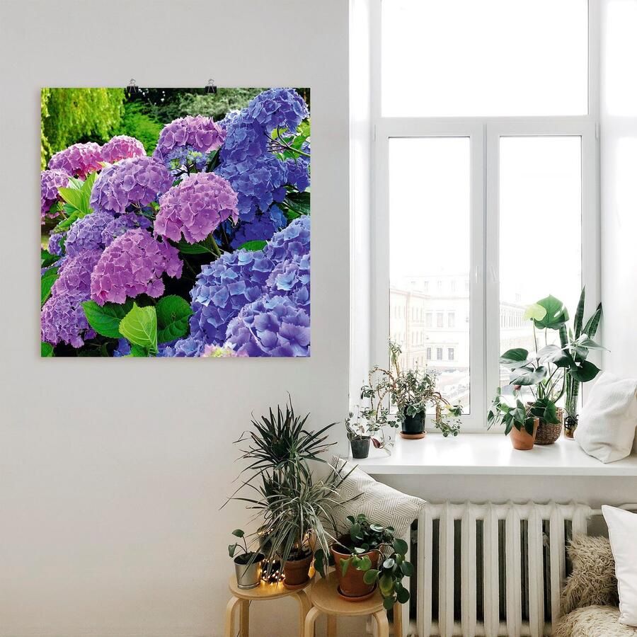 Artland Artprint Hortensia's in de tuin als artprint van aluminium artprint voor buiten artprint op linnen poster muursticker - Foto 2