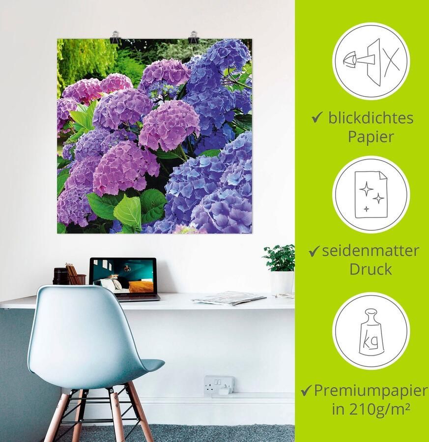 Artland Artprint Hortensia's in de tuin als artprint van aluminium artprint voor buiten artprint op linnen poster muursticker - Foto 4