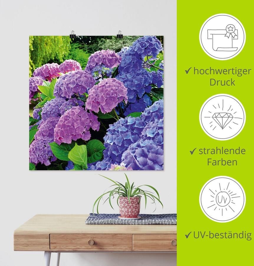 Artland Artprint Hortensia's in de tuin als artprint van aluminium artprint voor buiten artprint op linnen poster muursticker - Foto 5