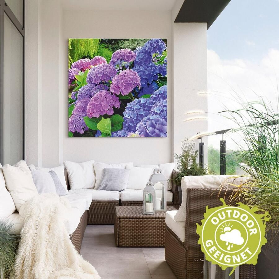 Artland Artprint Hortensia's in de tuin als artprint van aluminium artprint voor buiten artprint op linnen poster muursticker - Foto 3