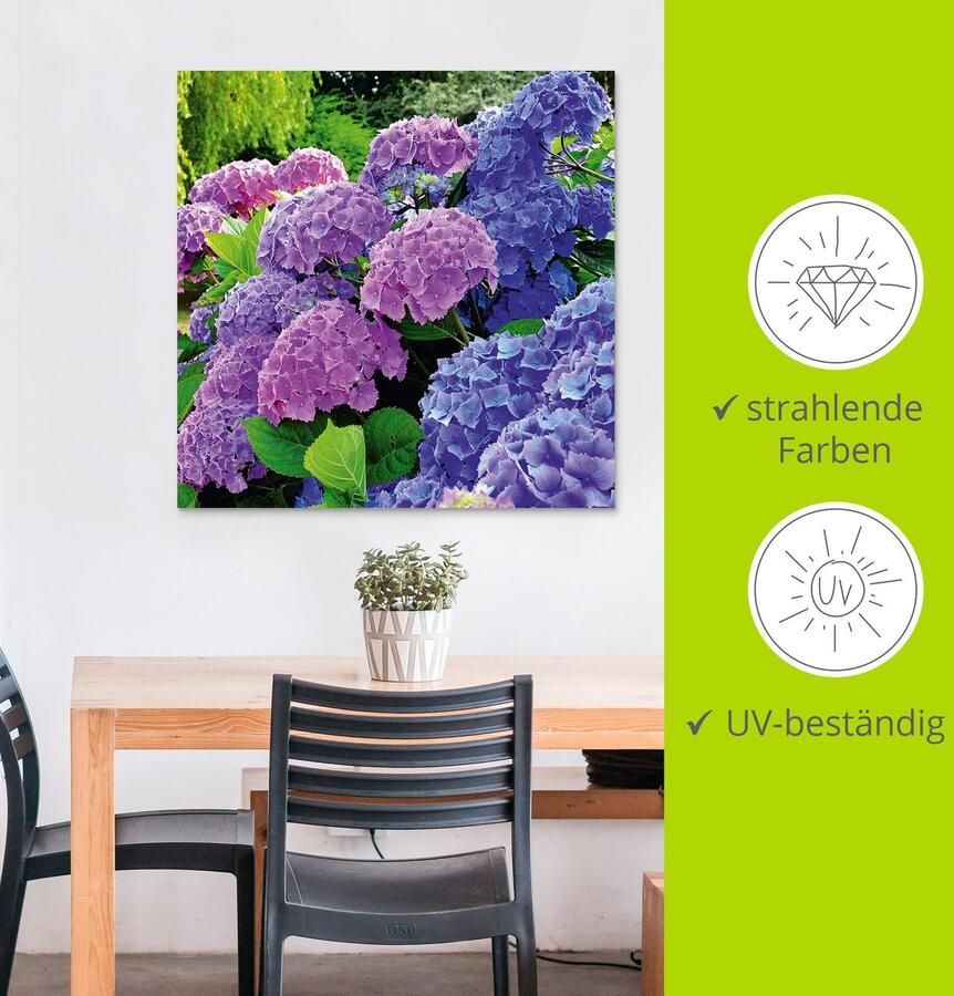 Artland Artprint Hortensia's in de tuin als artprint van aluminium artprint voor buiten artprint op linnen poster muursticker - Foto 3