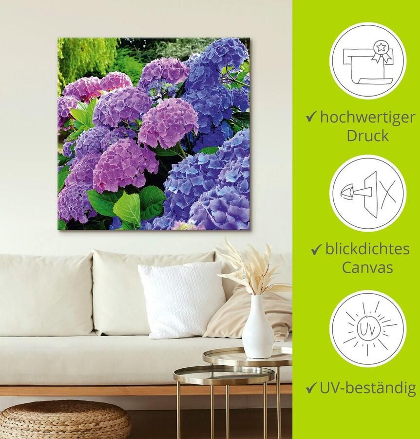 Artland Artprint Hortensia's in de tuin als artprint van aluminium artprint voor buiten artprint op linnen poster muursticker - Foto 4