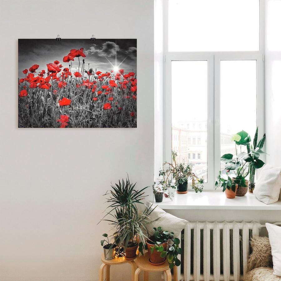 Artland Artprint Idyllisch klaprozenveld als artprint op linnen poster in verschillende formaten maten