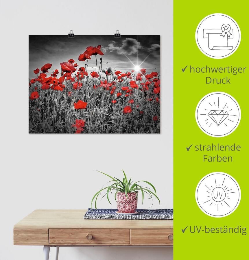 Artland Artprint Idyllisch klaprozenveld als artprint op linnen poster in verschillende formaten maten - Foto 3