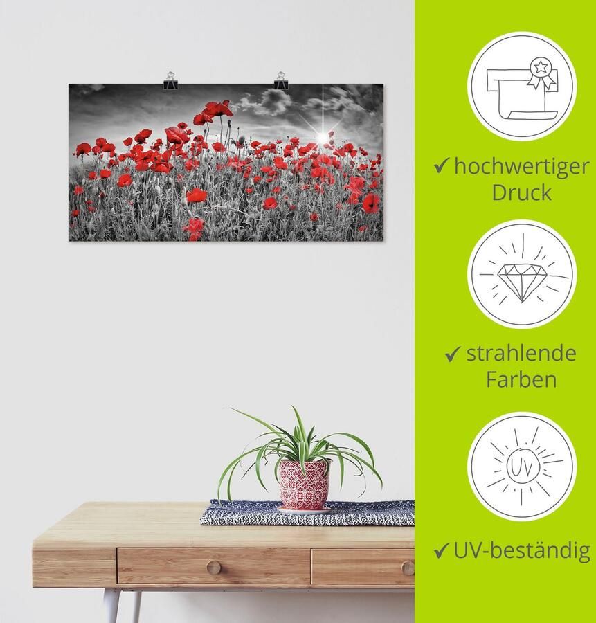 Artland Artprint Idyllisch klaprozenveld met zon als artprint van aluminium artprint voor buiten artprint op linnen poster muursticker - Foto 3