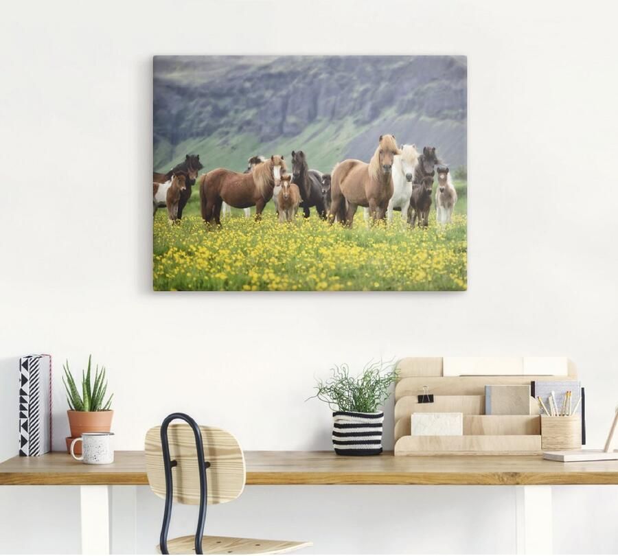 Artland Artprint IJslandse paarden VII als artprint op linnen poster muursticker in verschillende maten - Foto 3