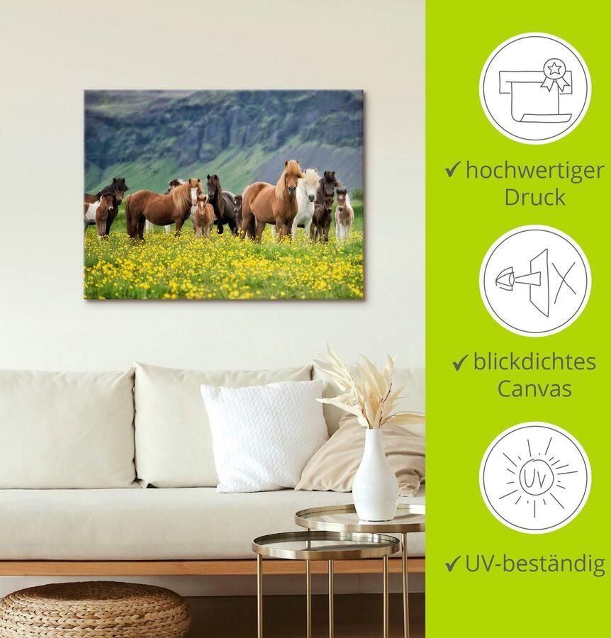 Artland Artprint IJslandse paarden VII als artprint op linnen poster muursticker in verschillende maten - Foto 2