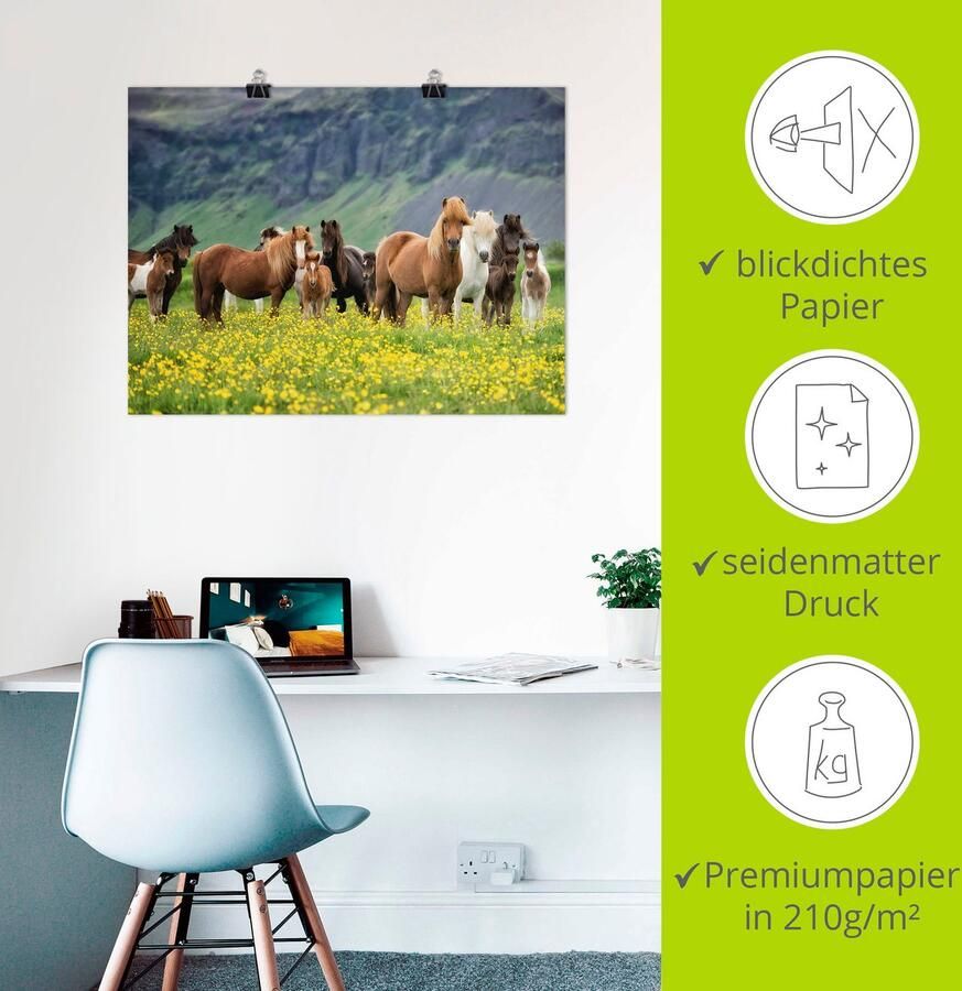 Artland Artprint IJslandse paarden VII als artprint op linnen poster muursticker in verschillende maten