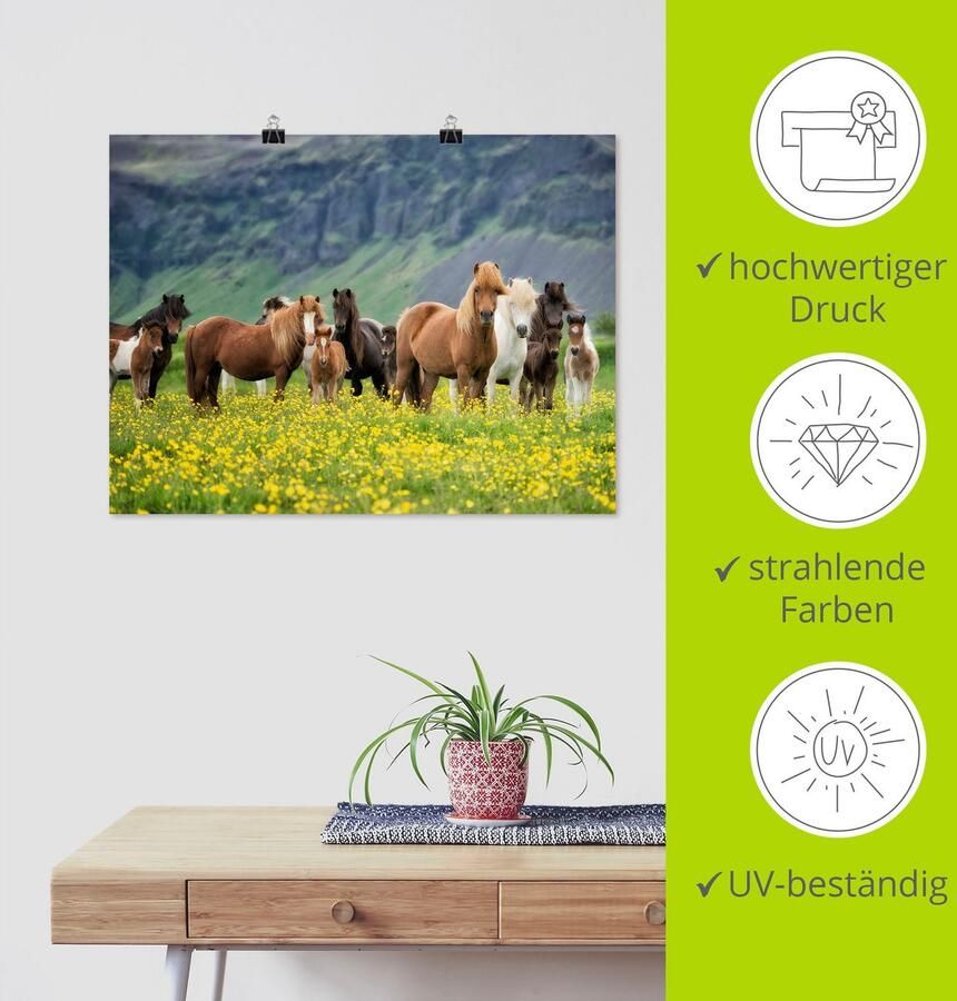 Artland Artprint IJslandse paarden VII als artprint op linnen poster muursticker in verschillende maten - Foto 2