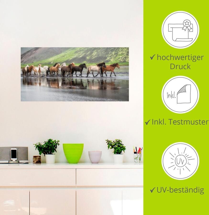 Artland Artprint IJslandse paarden XIV als artprint op linnen muursticker in verschillende maten - Foto 2