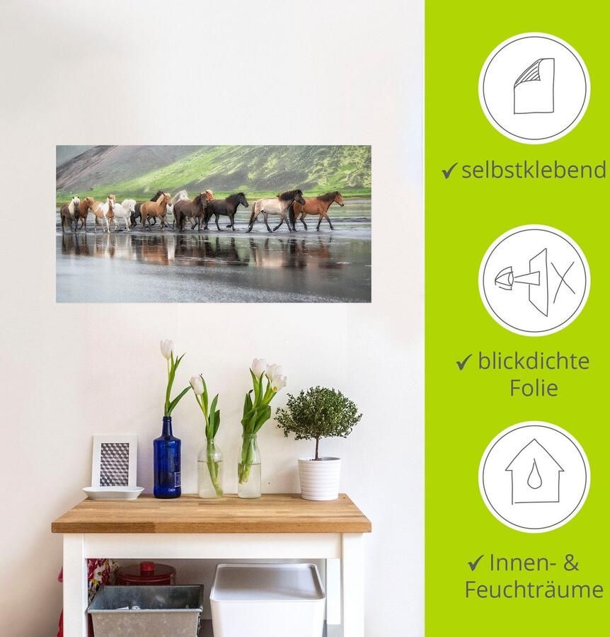 Artland Artprint IJslandse paarden XIV als artprint op linnen muursticker in verschillende maten - Foto 3
