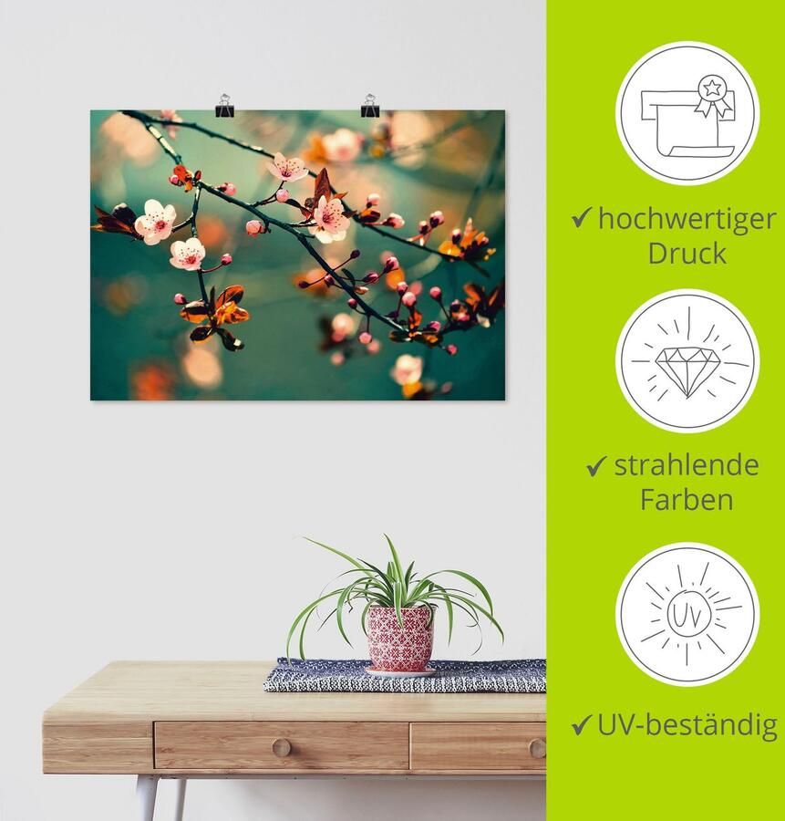 Artland Artprint Japanse kers Sakura bloemen als artprint op linnen poster in verschillende formaten maten - Foto 5