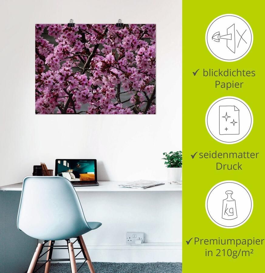 Artland Artprint Japanse sierkersen bloem als artprint op linnen poster in verschillende formaten maten - Foto 2