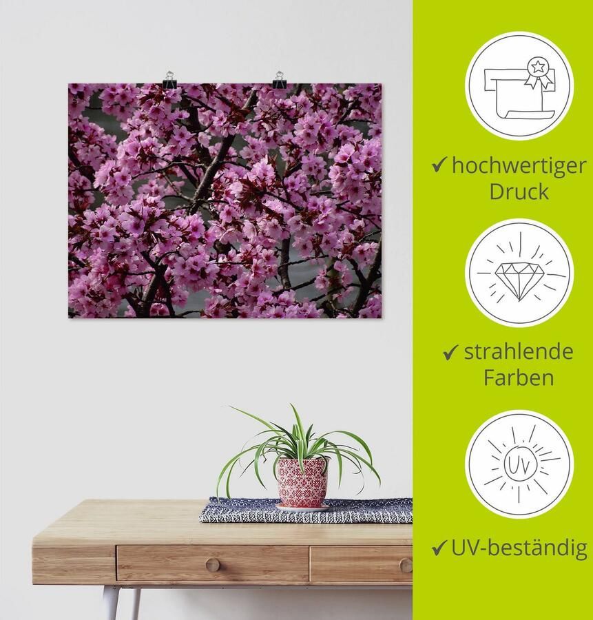 Artland Artprint Japanse sierkersen bloem als artprint op linnen poster in verschillende formaten maten - Foto 3