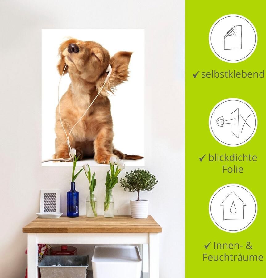 Artland Artprint Jonge hond die naar muziek door hoofdtelefoon luistert als artprint op linnen poster muursticker in verschillende maten - Foto 3