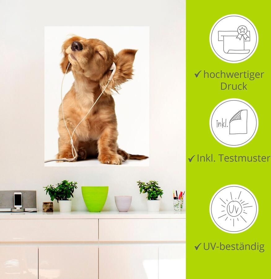 Artland Artprint Jonge hond die naar muziek door hoofdtelefoon luistert als artprint op linnen poster muursticker in verschillende maten - Foto 2