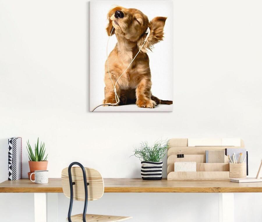 Artland Artprint Jonge hond die naar muziek door hoofdtelefoon luistert als artprint op linnen poster muursticker in verschillende maten - Foto 4